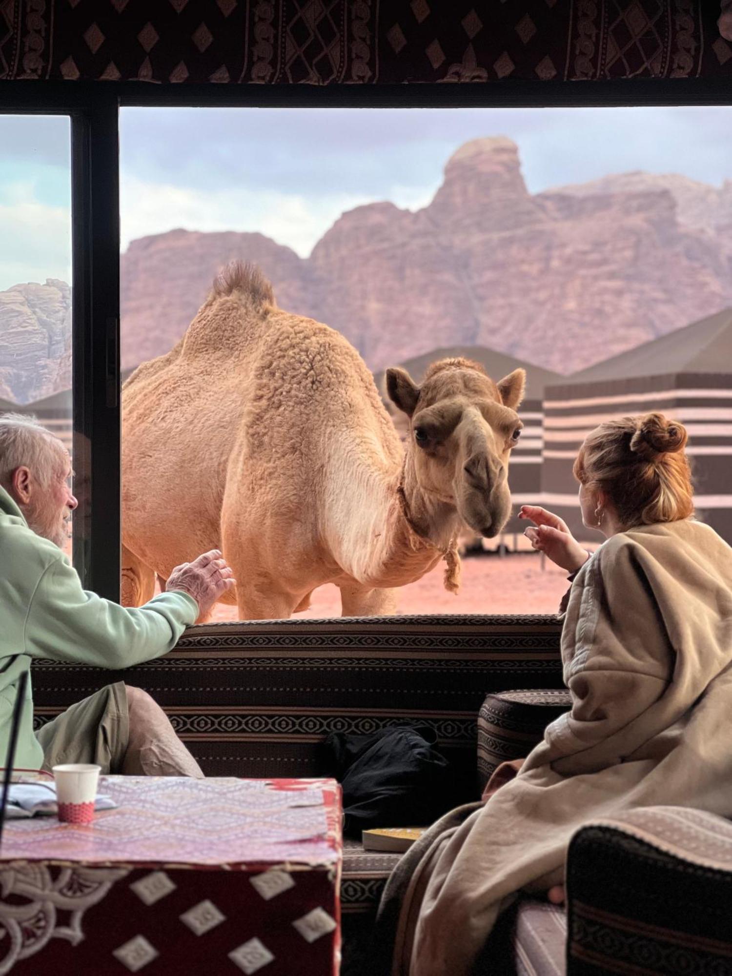住宿加早餐酒店 Desert Bird Camp